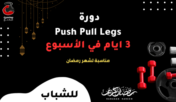 دورة Push Pull Legs | للشباب